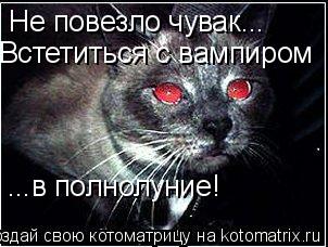 Не повезло чувак... Встетиться с вампиром ...в полнолуние!... Котоматрица: Не повезло чувак... Встетиться с вампиром ...в полнолуние!