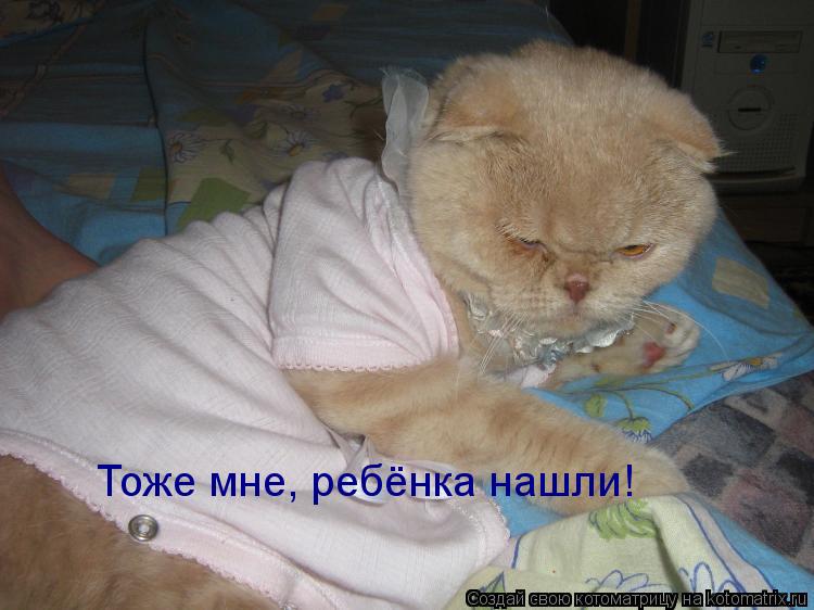 Тоже мне, ребёнка нашли!... Котоматрица: Тоже мне, ребёнка нашли!