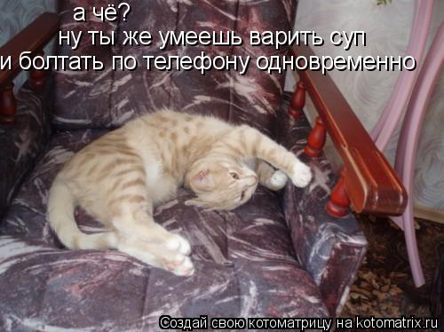 а чё? ну ты же умеешь варить суп и болтать по телефону одновременно... Котоматрица: а чё? ну ты же умеешь варить суп и болтать по телефону одновременно