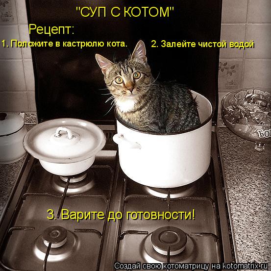 1. Положите в кастрюлю кота. 2. Залейте чистой водой Рецепт: "СУП С КОТОМ" 3. Варите до готовности!... Котоматрица: 1. Положите в кастрюлю кота. 2. Залейте чистой водой Рецепт: "СУП С КОТОМ" 3. Варите до готовности!