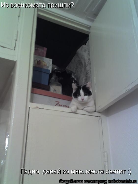Из военкомата пришли? Ладно, давай ко мне..места хватит :)... Котоматрица: Из военкомата пришли? Ладно, давай ко мне..места хватит :)