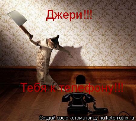 Джери!!! Тебя к телефону!!!... Котоматрица: Джери!!! Тебя к телефону!!!