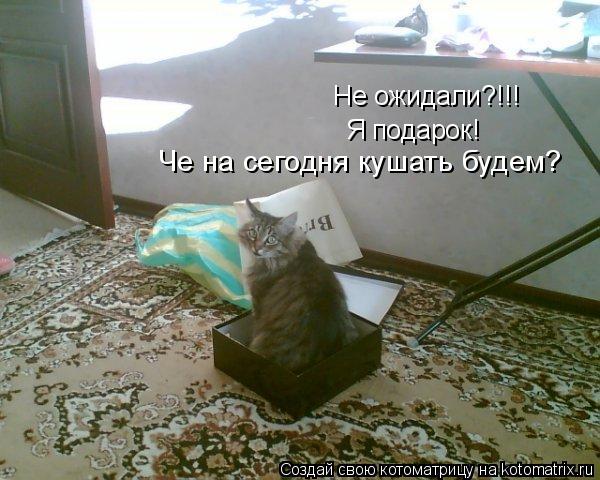 Не ожидали?!!! Я подарок! Че на сегодня кушать будем?... Котоматрица: Не ожидали?!!! Я подарок! Че на сегодня кушать будем?