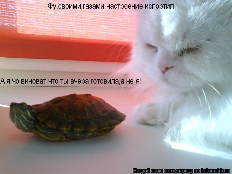 Фу,своими газами настроение испортил А я чо виноват что ты вчера готовила,а не я!... Котоматрица: Фу,своими газами настроение испортил А я чо виноват что ты вчера готовила,а не я!