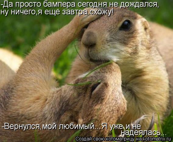 -Да просто бампера сегодня не дождался, -Вернулся,мой любимый...Я уже и не надеялась... ну ничего,я е... Котоматрица: -Да просто бампера сегодня не дождался, -Вернулся,мой любимый...Я уже и не надеялась... ну ничего,я ещё завтра схожу!