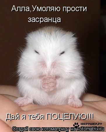Алла,Умоляю прости засранца Дай я тебя ПОЦЕЛУЮ!!!... Котоматрица: Алла,Умоляю прости засранца Дай я тебя ПОЦЕЛУЮ!!!