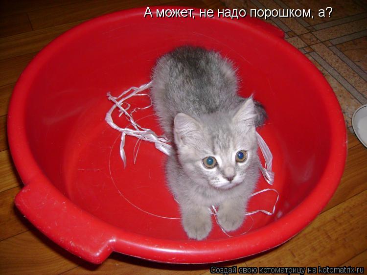 А может, не надо порошком, а?... Котоматрица: А может, не надо порошком, а?