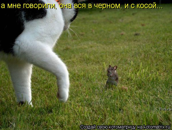 а мне говорили, она вся в черном, и с косой...... Котоматрица: а мне говорили, она вся в черном, и с косой...