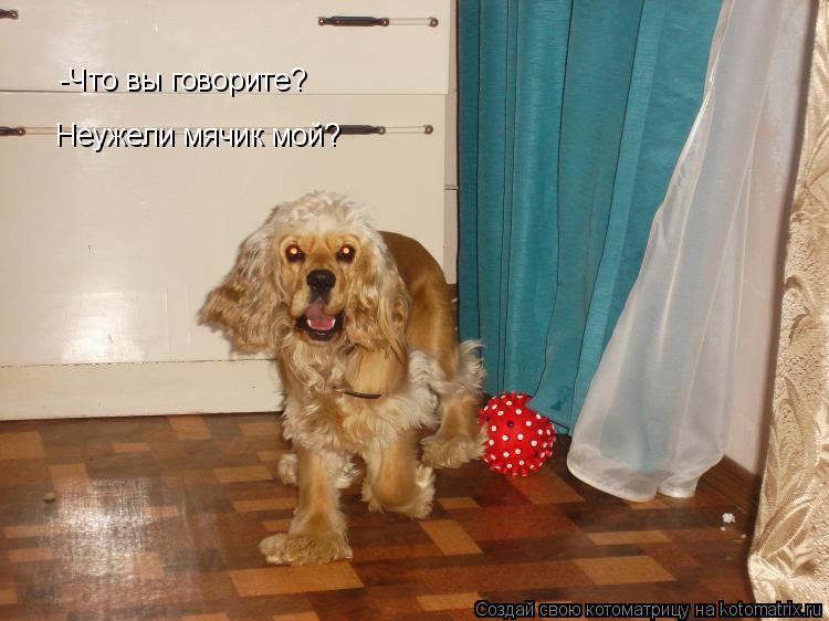 -Что вы говорите? Неужели мячик мой?... Котоматрица: -Что вы говорите? Неужели мячик мой?