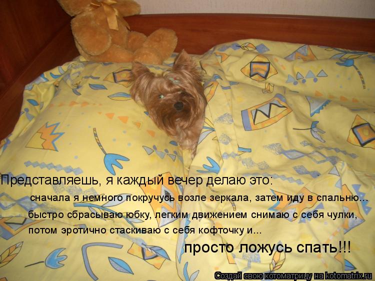 Представляешь, я каждый вечер делаю это: сначала я немного покручусь возле зеркала, затем иду в спал... Котоматрица: Представляешь, я каждый вечер делаю это: сначала я немного покручусь возле зеркала, затем иду в спальню... быстро сбрасываю юбку, легким дви