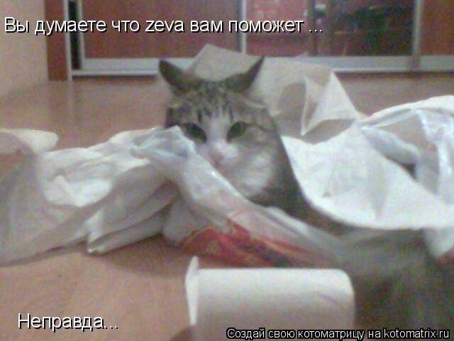 Вы думаете что zeva вам поможет ... Неправда...... Котоматрица: Вы думаете что zeva вам поможет ... Неправда...