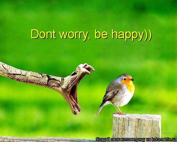 Dont worry, be happy))... Котоматрица: Dont worry, be happy))