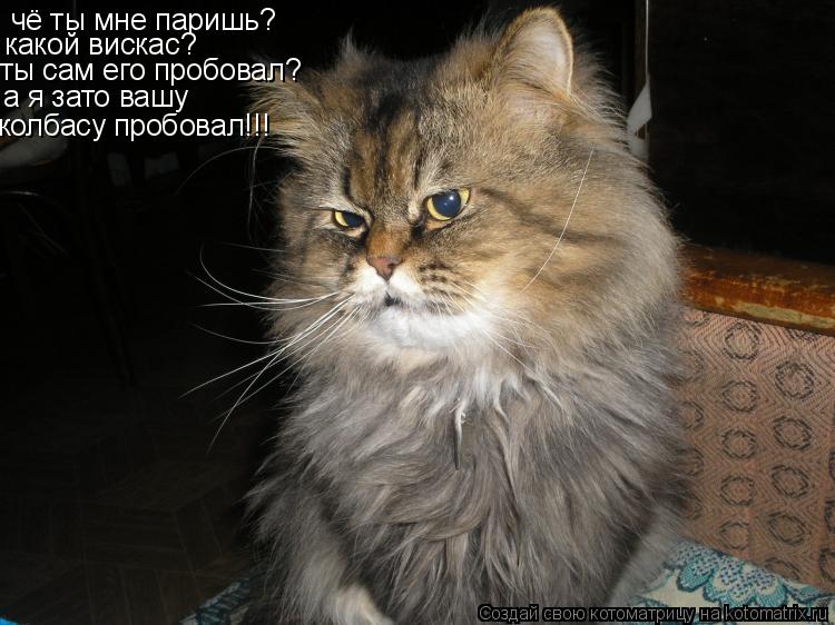 чё ты мне паришь? какой вискас? ты сам его пробовал? а я зато вашу колбасу пробовал!!!... Котоматрица: чё ты мне паришь? какой вискас? ты сам его пробовал? а я зато вашу колбасу пробовал!!!