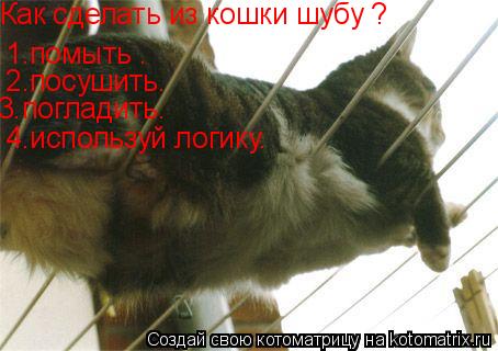 Как сделать из кошки шубу ? 1.помыть . 2.посушить. 3.погладить. 4.используй логику.... Котоматрица: Как сделать из кошки шубу ? 1.помыть . 2.посушить. 3.погладить. 4.используй логику.