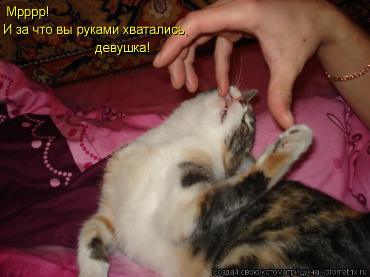 Мрррр! И за что вы руками хватались, девушка!... Котоматрица: Мрррр! И за что вы руками хватались, девушка!