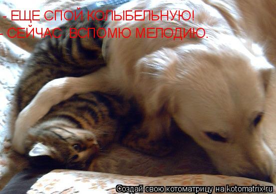 - ЕЩЕ СПОЙ КОЛЫБЕЛЬНУЮ! - СЕЙЧАС ВСПОМЮ МЕЛОДИЮ.... Котоматрица: - ЕЩЕ СПОЙ КОЛЫБЕЛЬНУЮ! - СЕЙЧАС ВСПОМЮ МЕЛОДИЮ.