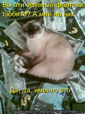 любите? А мне на них ... Вы эти зеленые фантики Да, да, именно это... Котоматрица: любите? А мне на них ... Вы эти зеленые фантики Да, да, именно это