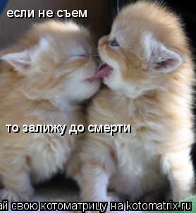 если не съем то залижу до смерти... Котоматрица: если не съем то залижу до смерти