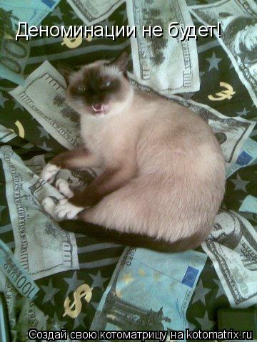 Деноминации не будет!... Котоматрица: Деноминации не будет!