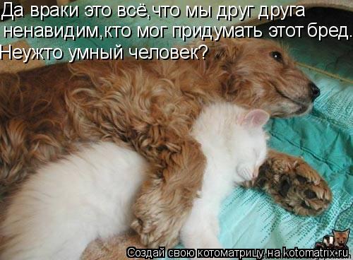 Да враки это всё,что мы друг друга ненавидим,кто мог придумать этот бред. Неужто умный человек?... Котоматрица: Да враки это всё,что мы друг друга ненавидим,кто мог придумать этот бред. Неужто умный человек?