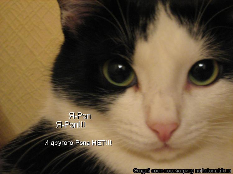 Я-Рэп Я-Рэп!!! И другого Рэпа НЕТ!!!... Котоматрица: Я-Рэп Я-Рэп!!! И другого Рэпа НЕТ!!!