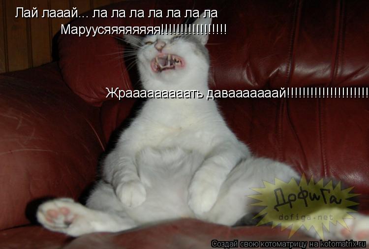 Лай лааай... ла ла ла ла ла ла ла Маруусяяяяяяяя!!!!!!!!!!!!!!!!! Жрааааааааать давааааааай!!!!!!!!!!... Котоматрица: Лай лааай... ла ла ла ла ла ла ла Маруусяяяяяяяя!!!!!!!!!!!!!!!!! Жрааааааааать давааааааай!!!!!!!!!!!!!!!!!!!!!