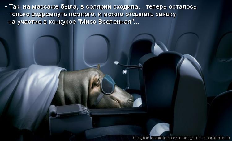 - Так, на массаже была, в солярий сходила... теперь осталось только вздремнуть немного… и можно отсы... Котоматрица: - Так, на массаже была, в солярий сходила... теперь осталось только вздремнуть немного… и можно отсылать заявку на участие в конкурсе "Мисс