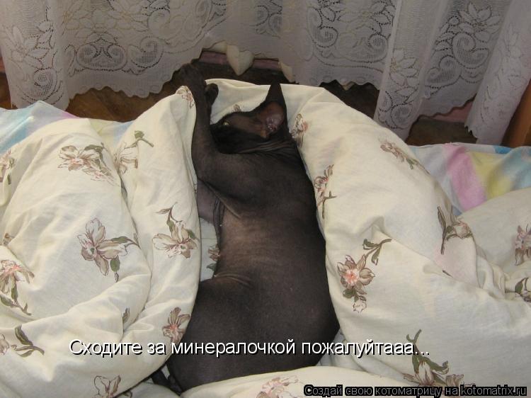 Сходите за минералочкой пожалуйтааа...... Котоматрица: Сходите за минералочкой пожалуйтааа...