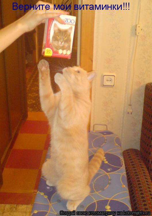 Верните мои витаминки!!!... Котоматрица: Верните мои витаминки!!!