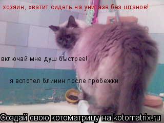 хозяин, хватит сидеть на унитазе без штанов! включай мне душ быстрее! я вспотел блииин после пробежки... Котоматрица: хозяин, хватит сидеть на унитазе без штанов! включай мне душ быстрее! я вспотел блииин после пробежки..