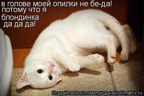 в голове моей опилки не бе-да! блондинка да да да! потому что я... Котоматрица: в голове моей опилки не бе-да! блондинка да да да! потому что я