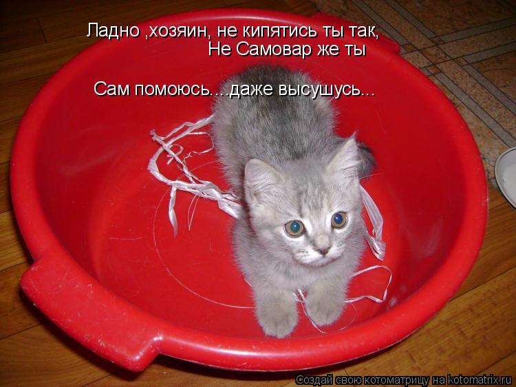 Ладно ,хозяин, не кипятись ты так, Не Самовар же ты Сам помоюсь....даже высушусь...... Котоматрица: Ладно ,хозяин, не кипятись ты так, Не Самовар же ты Сам помоюсь....даже высушусь...