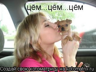 цём...цём...цём... Котоматрица: цём...цём...цём