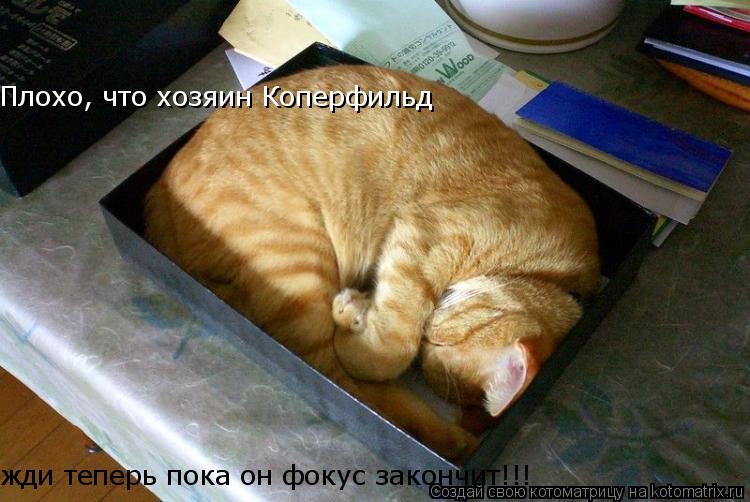 Плохо, что хозяин Коперфильд жди теперь пока он фокус закончит!!!... Котоматрица: Плохо, что хозяин Коперфильд жди теперь пока он фокус закончит!!!
