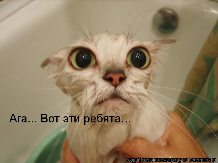 Ага... Вот эти ребята...... Котоматрица: Ага... Вот эти ребята...