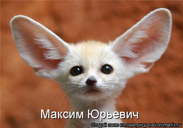 Максим Юрьевич... Котоматрица: Максим Юрьевич
