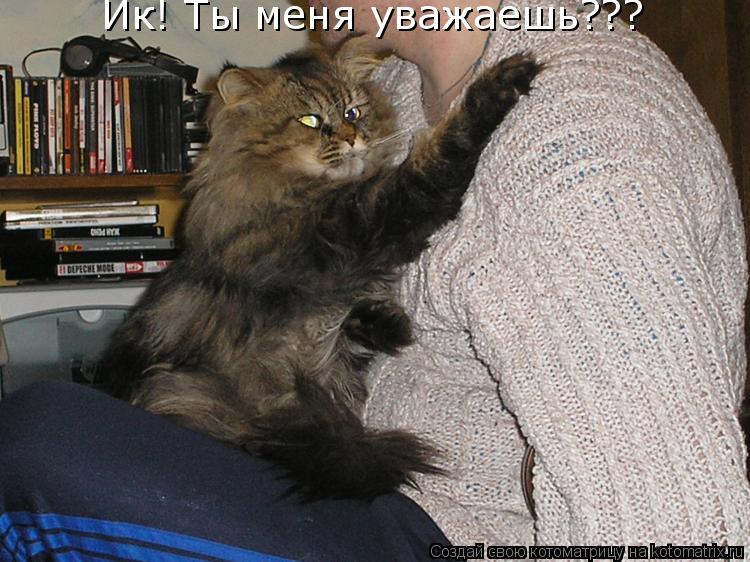 Ик! Ты меня уважаешь???... Котоматрица: Ик! Ты меня уважаешь???