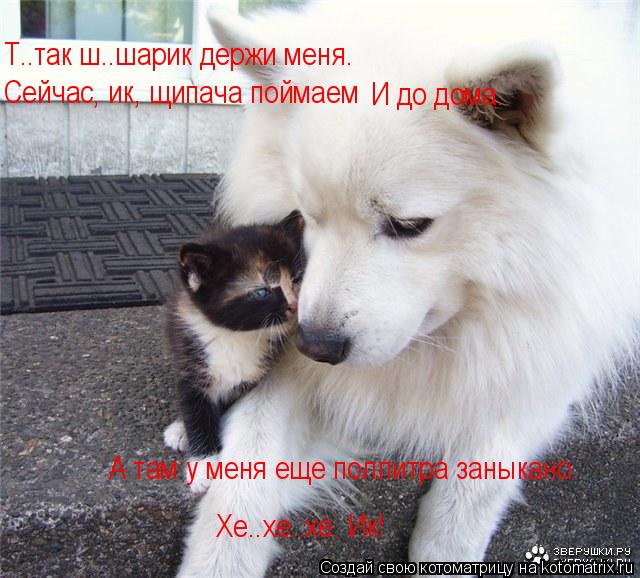 Т..так ш..шарик держи меня. Сейчас, ик, щипача поймаем И до дома. А там у меня еще поллитра заныкано... Котоматрица: Т..так ш..шарик держи меня. Сейчас, ик, щипача поймаем И до дома. А там у меня еще поллитра заныкано. Хе..хе..хе. Ик!
