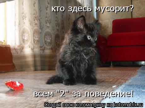 кто здесь мусорит? всем "2" за поведение!... Котоматрица: кто здесь мусорит? всем "2" за поведение!