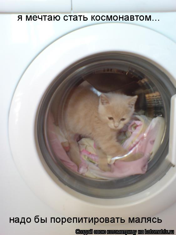 я мечтаю стать космонавтом... надо бы порепитировать малясь... Котоматрица: я мечтаю стать космонавтом... надо бы порепитировать малясь