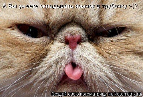 А Вы умеете складывать язычок в трубочку ;-)?... Котоматрица: А Вы умеете складывать язычок в трубочку ;-)?