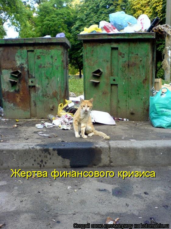 Жертва финансового кризиса... Котоматрица: Жертва финансового кризиса