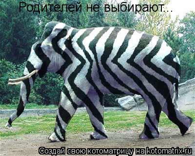 Родителей не выбирают...... Котоматрица: Родителей не выбирают...