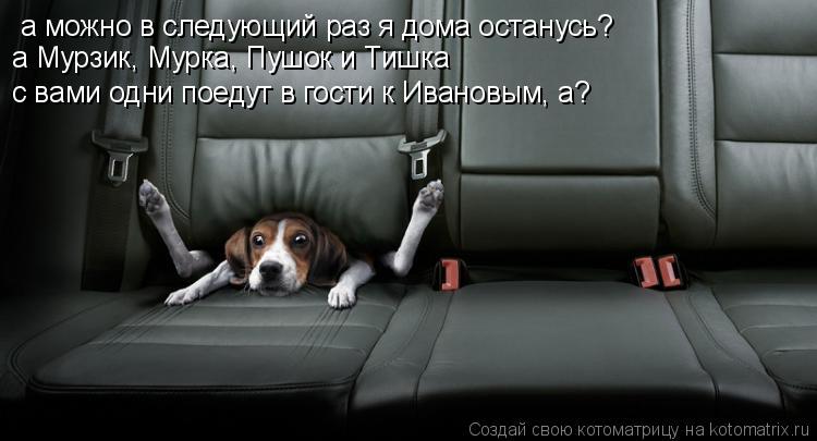а можно в следующий раз я дома останусь? а Мурзик, Мурка, Пушок и Тишка с вами одни поедут в гости к... Котоматрица: а можно в следующий раз я дома останусь? а Мурзик, Мурка, Пушок и Тишка с вами одни поедут в гости к Ивановым, а?