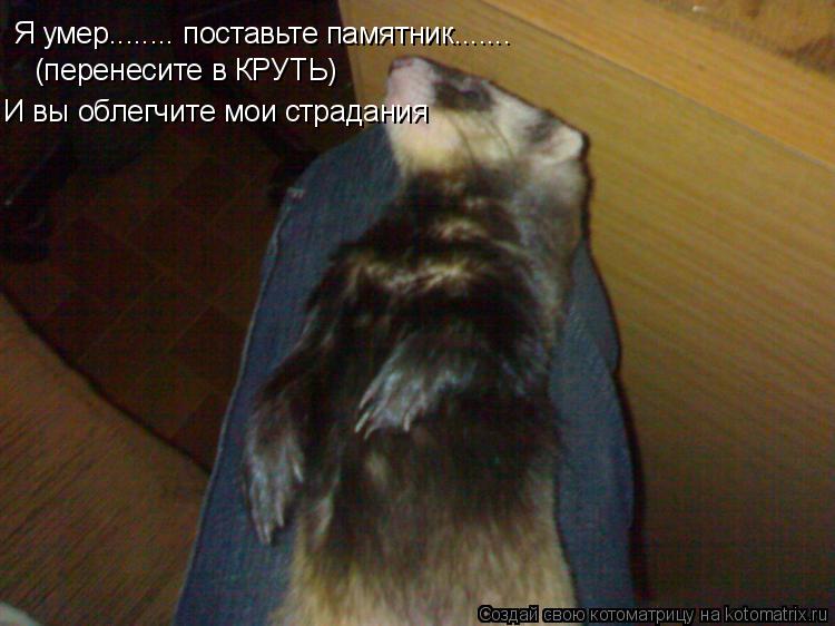 Я умер........ поставьте памятник....... (перенесите в КРУТЬ) И вы облегчите мои страдания... Котоматрица: Я умер........ поставьте памятник....... (перенесите в КРУТЬ) И вы облегчите мои страдания