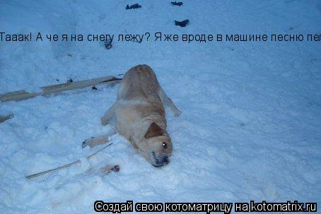 Тааак! А че я на снегу лежу? Я же вроде в машине песню пел!... Котоматрица: Тааак! А че я на снегу лежу? Я же вроде в машине песню пел!
