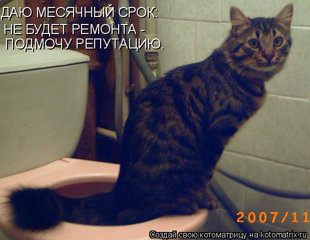 ДАЮ МЕСЯЧНЫЙ СРОК: НЕ БУДЕТ РЕМОНТА - ПОДМОЧУ РЕПУТАЦИЮ.... Котоматрица: ДАЮ МЕСЯЧНЫЙ СРОК: НЕ БУДЕТ РЕМОНТА - ПОДМОЧУ РЕПУТАЦИЮ.