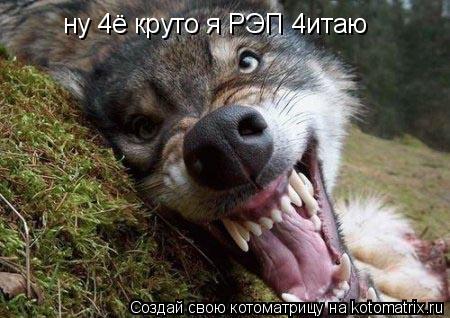 ну 4ё круто я РЭП 4итаю... Котоматрица: ну 4ё круто я РЭП 4итаю