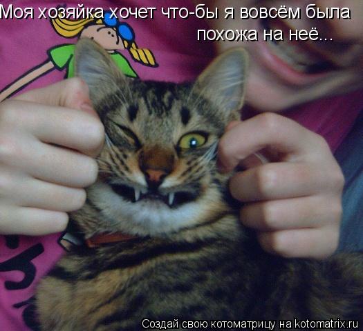 Моя хозяйка хочет что-бы я вовсём была похожа на неё...... Котоматрица: Моя хозяйка хочет что-бы я вовсём была похожа на неё...