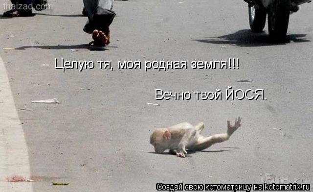 Целую тя, моя родная земля!!! Вечно твой ЙОСЯ.... Котоматрица: Целую тя, моя родная земля!!! Вечно твой ЙОСЯ.